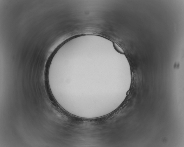 X0000091990292200709271453