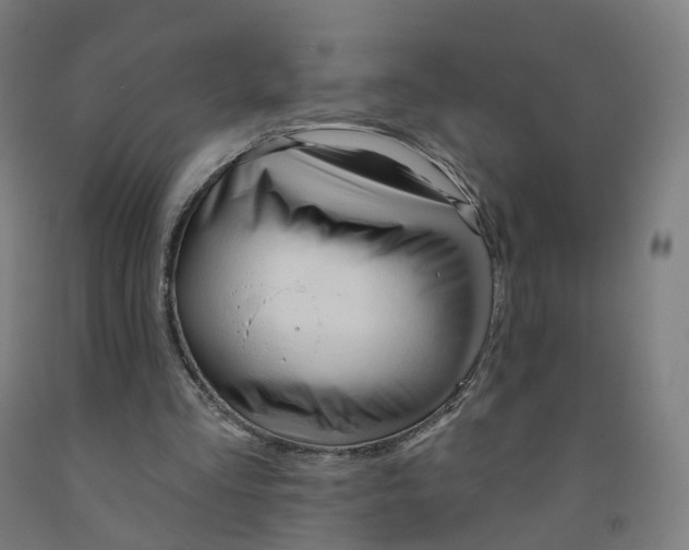 X0000091990293200709271453