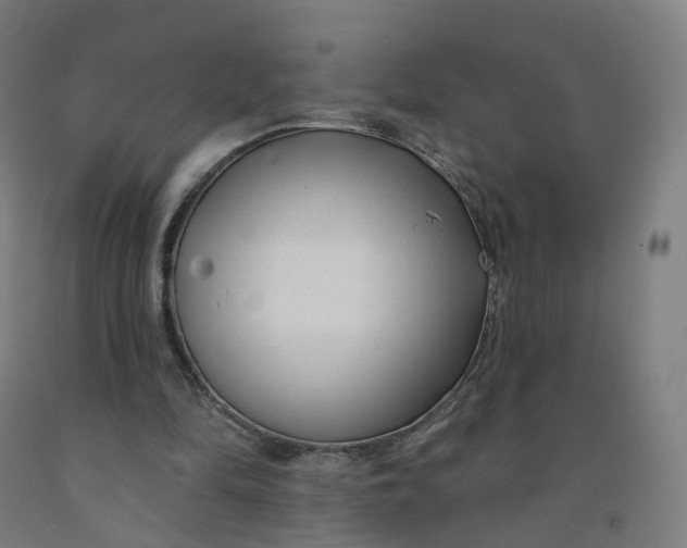 X0000091990294200709271453