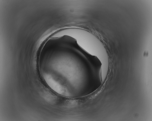 X0000091990295200709271453