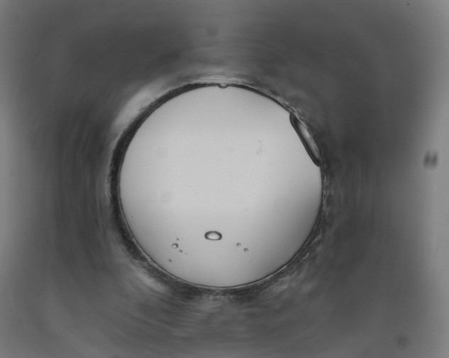 X0000091990296200709271453