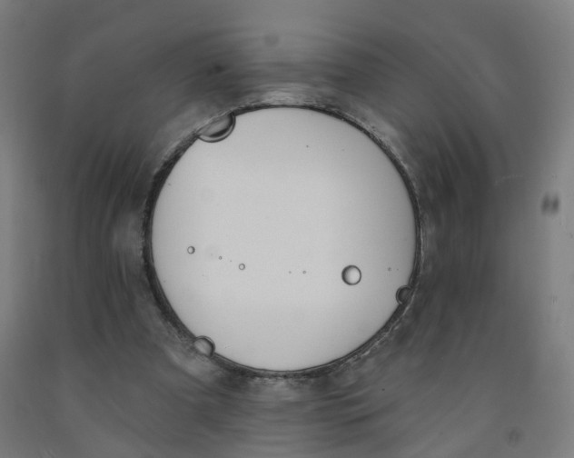 X0000091990297200709271453