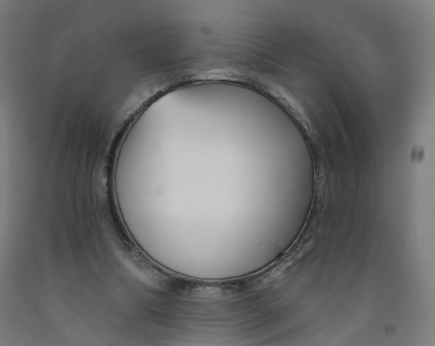 X0000091990298200709271453