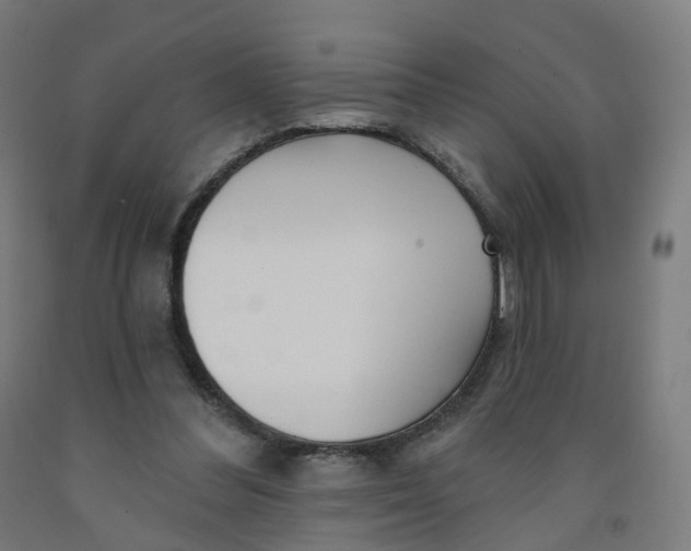 X0000091990300200709271453