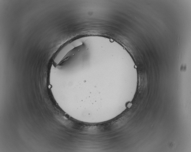 X0000091990301200709271453