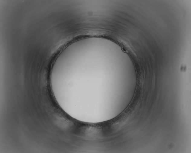 X0000091990303200709271453