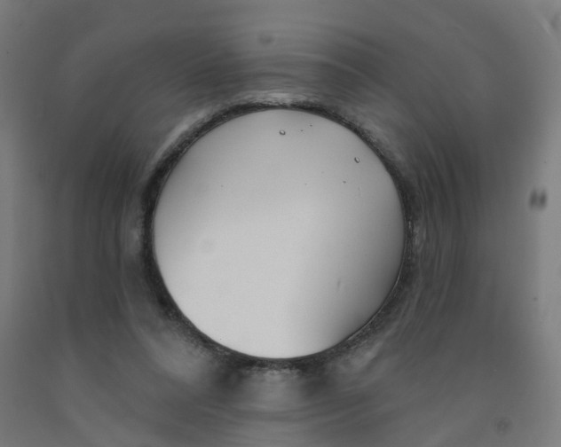 X0000091990304200709271453