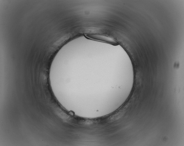 X0000091990305200709271453