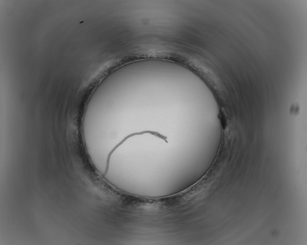 X0000091990306200709271453