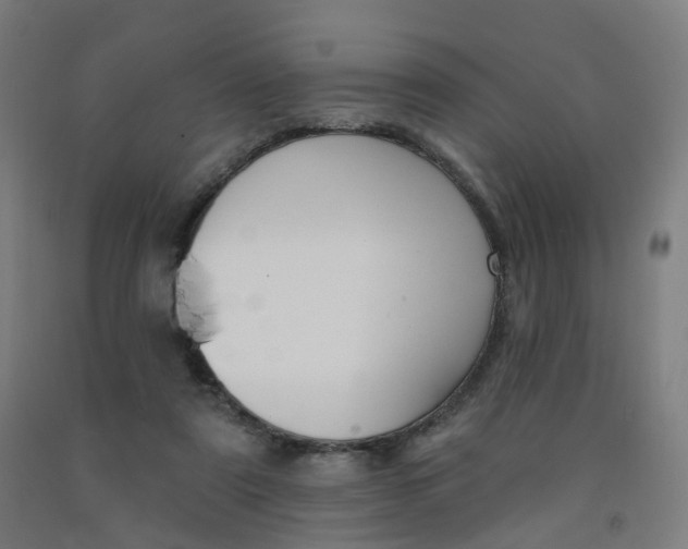 X0000091990307200709271453