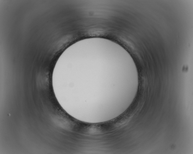 X0000091990308200709271453