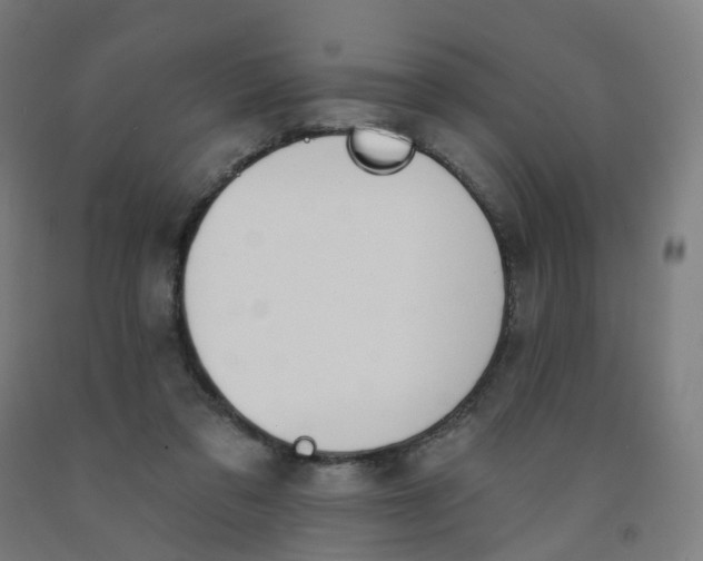 X0000091990309200709271453