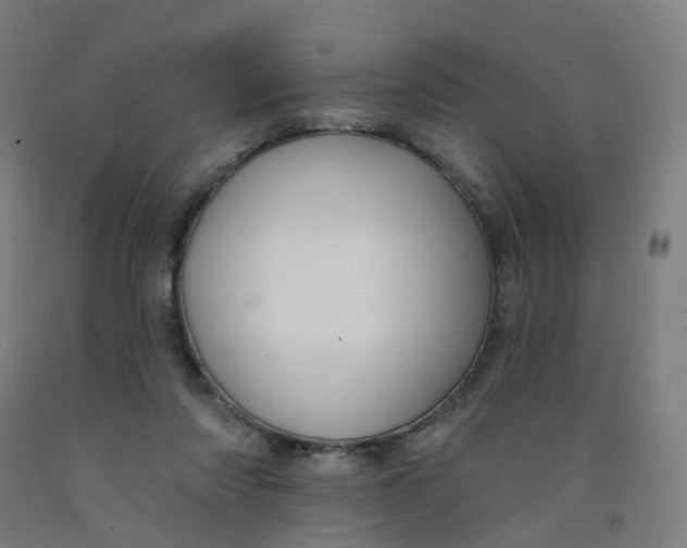 X0000091990310200709271453