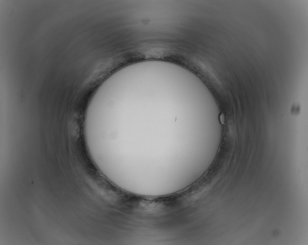 X0000091990311200709271453