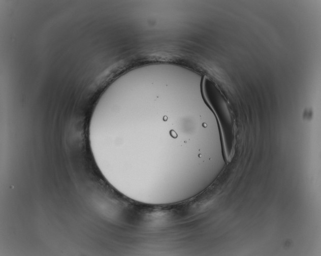 X0000091990312200709271453