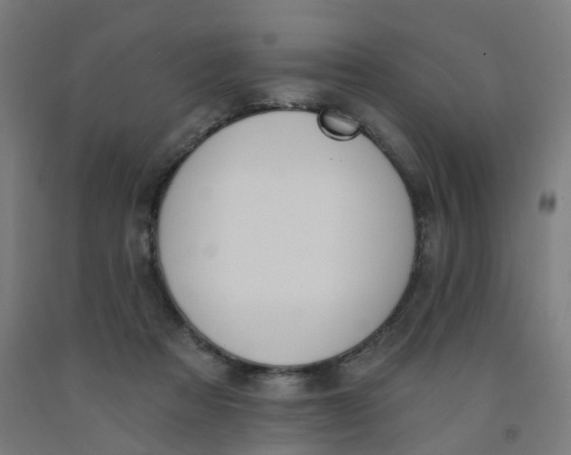 X0000091990313200709271453