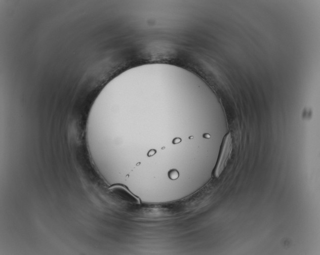 X0000091990316200709271453