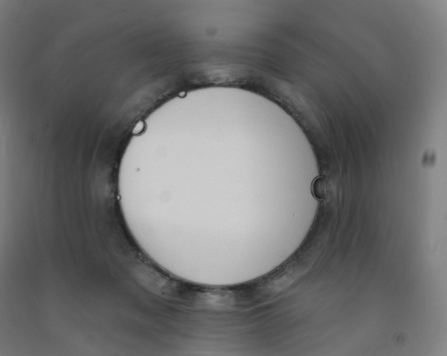 X0000091990317200709271453