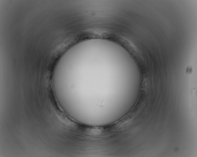 X0000091990318200709271453