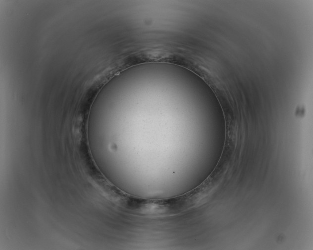 X0000091990319200709271453