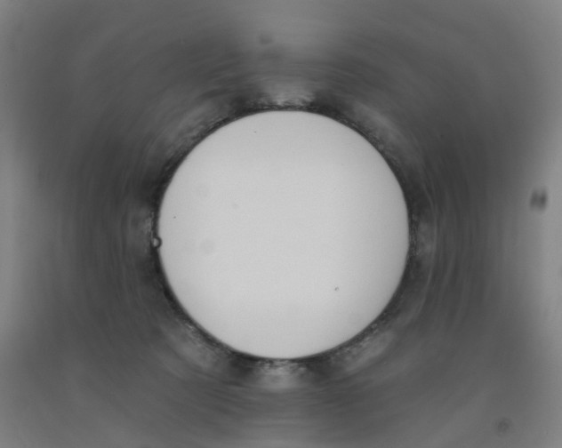 X0000091990321200709271453