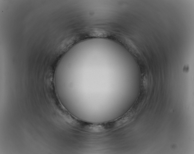 X0000091990322200709271453