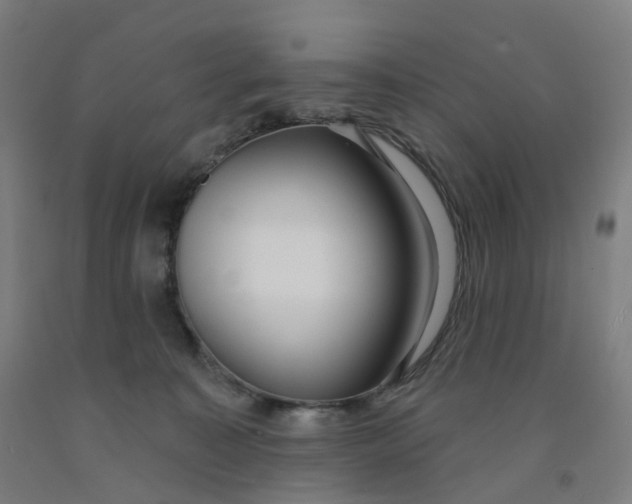 X0000091990323200709271453