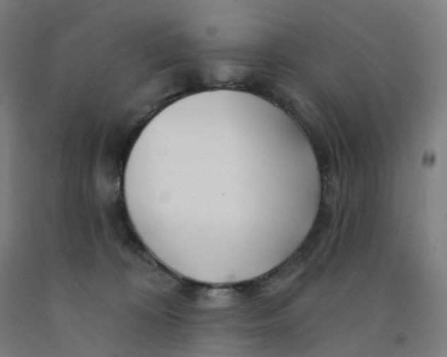 X0000091990324200709271453