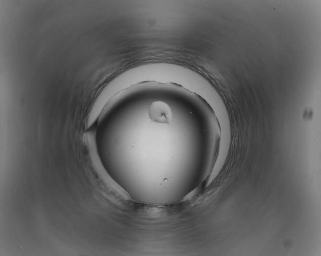 X0000091990325200709271452