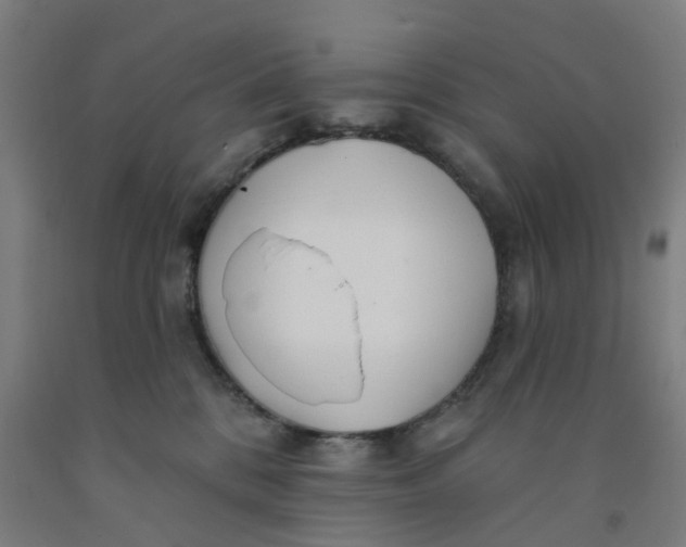 X0000091990328200709271452