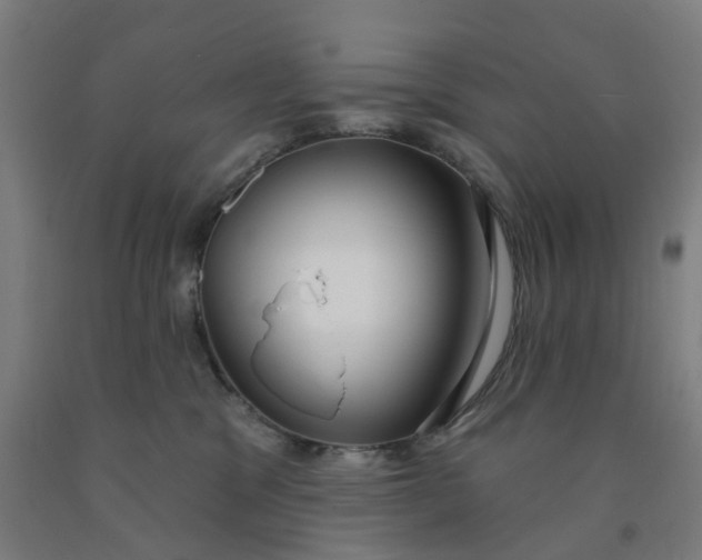 X0000091990329200709271452