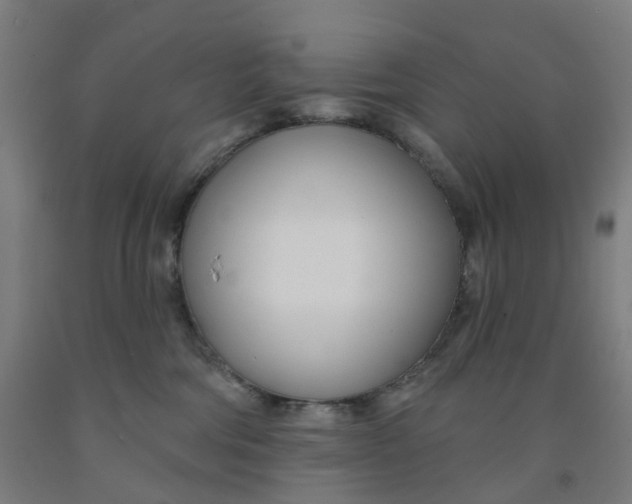 X0000091990330200709271452