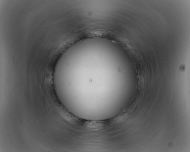 X0000091990331200709271452