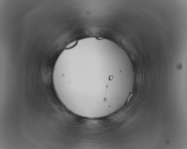 X0000091990332200709271452