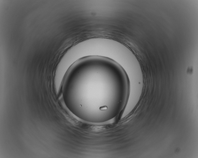 X0000091990333200709271452