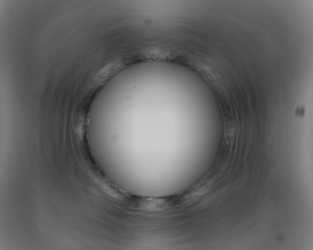 X0000091990334200709271452