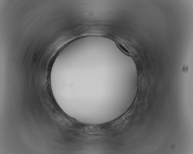 X0000091990338200709271452