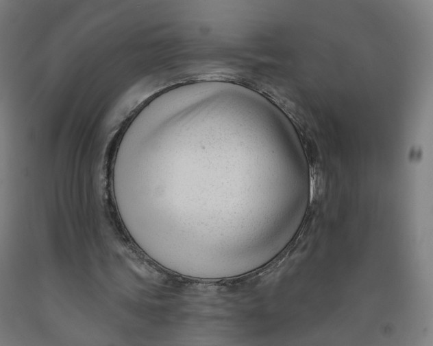 X0000091990339200709271452