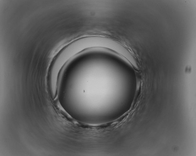 X0000091990340200709271452