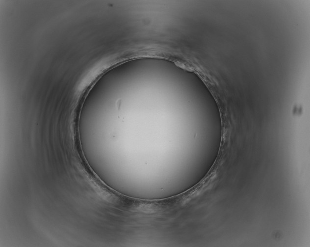 X0000091990341200709271452