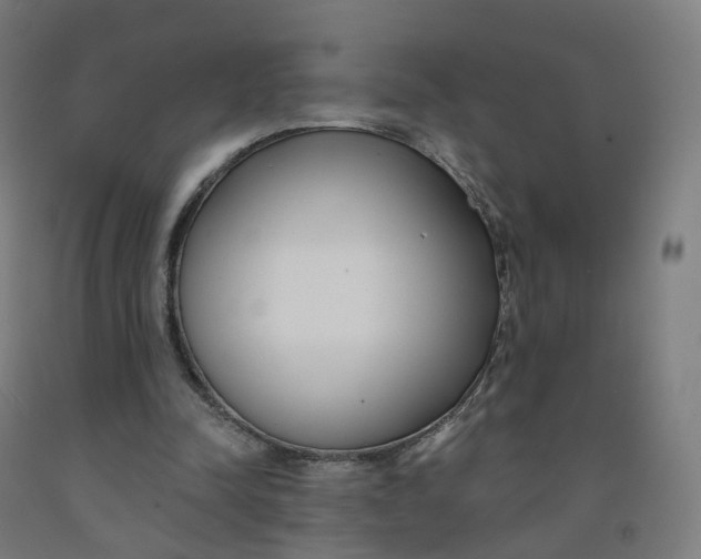 X0000091990342200709271452