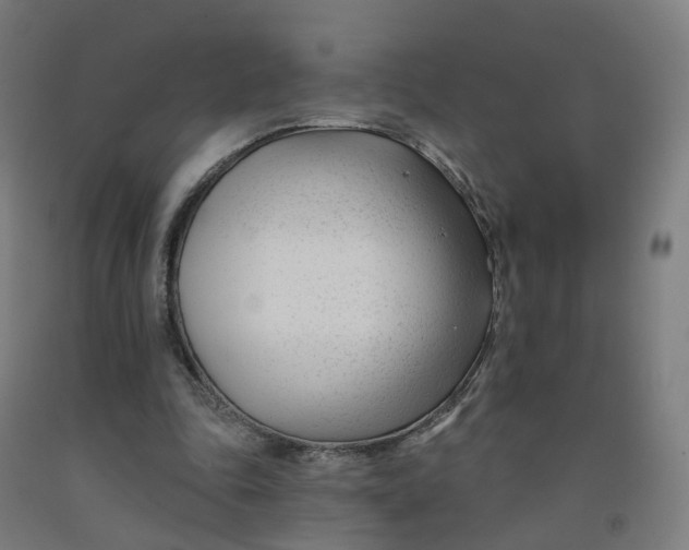 X0000091990343200709271452