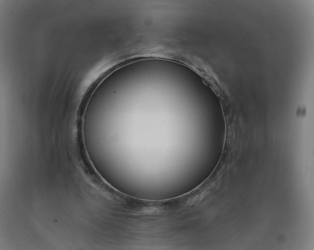 X0000091990344200709271452