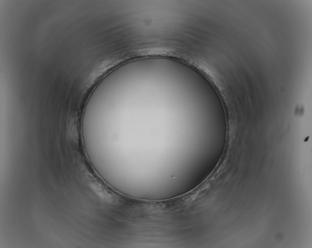 X0000091990345200709271452