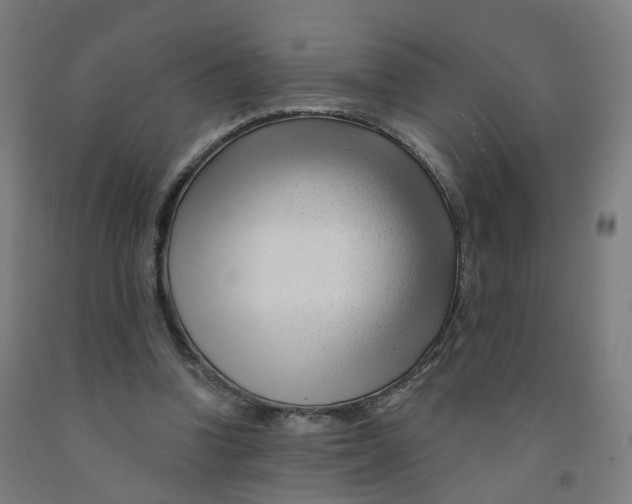 X0000091990346200709271452