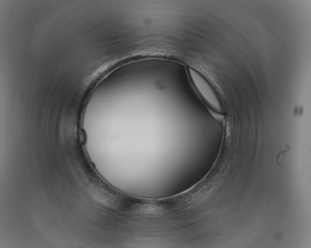 X0000091990348200709271452