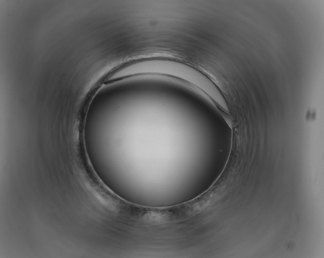 X0000091990350200709271452