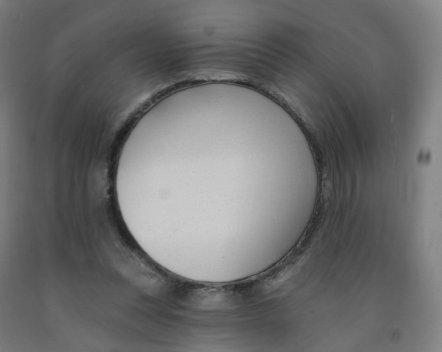 X0000091990351200709271452