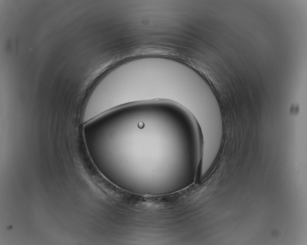 X0000091990352200709271452