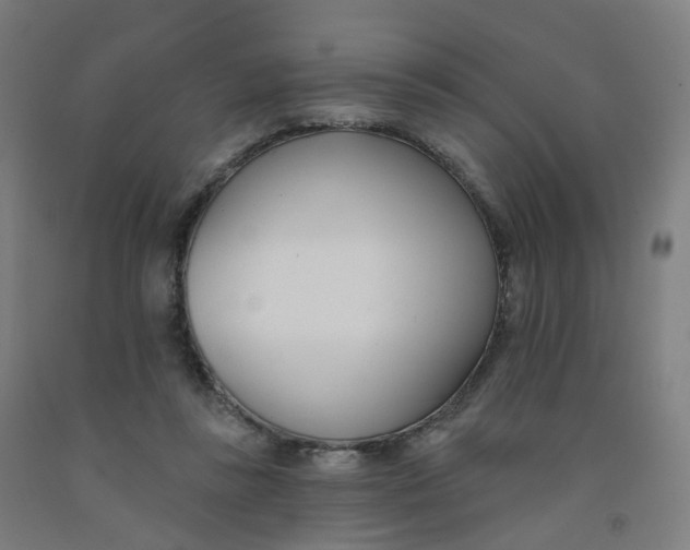 X0000091990355200709271452